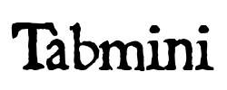 Tabmini - logo
